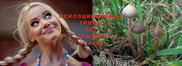экстази Абаза