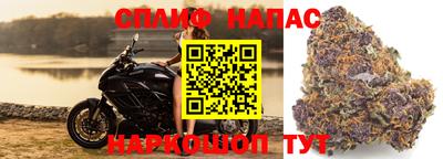 гидра Пушкино