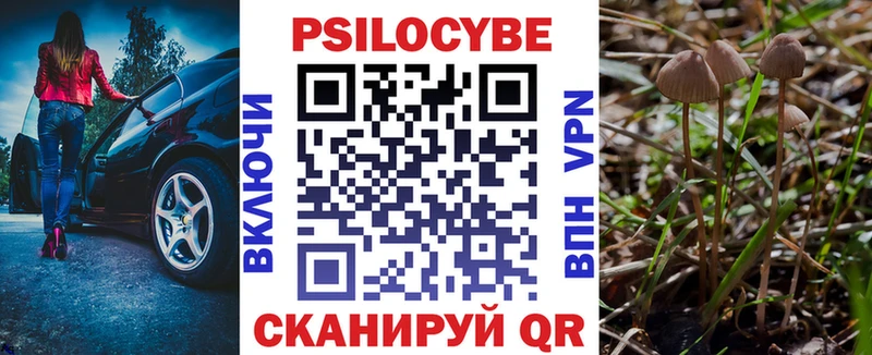 Галлюциногенные грибы GOLDEN TEACHER  купить наркотик  Волоколамск 