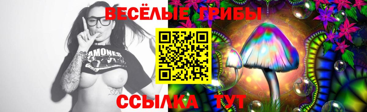 Волоколамск  сколько стоит  Псилоцибиновые грибы MAGIC MUSHROOMS  Вход с VPN  Галлюциногенные грибы ЛСД 